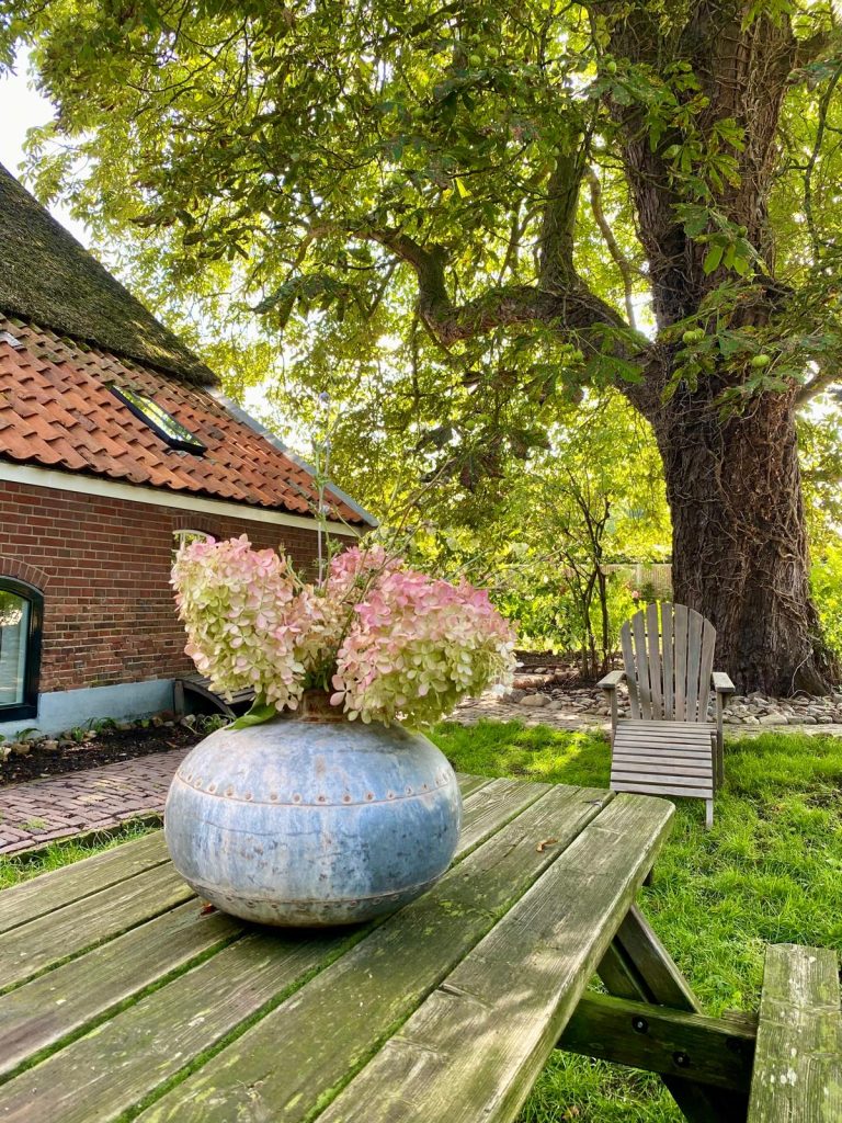 De picknicktafel in de gastentuin