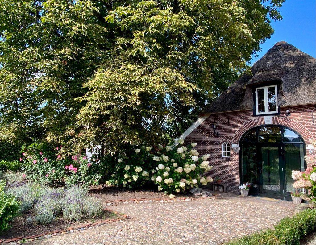 Het erf met bloeiende hortensia's