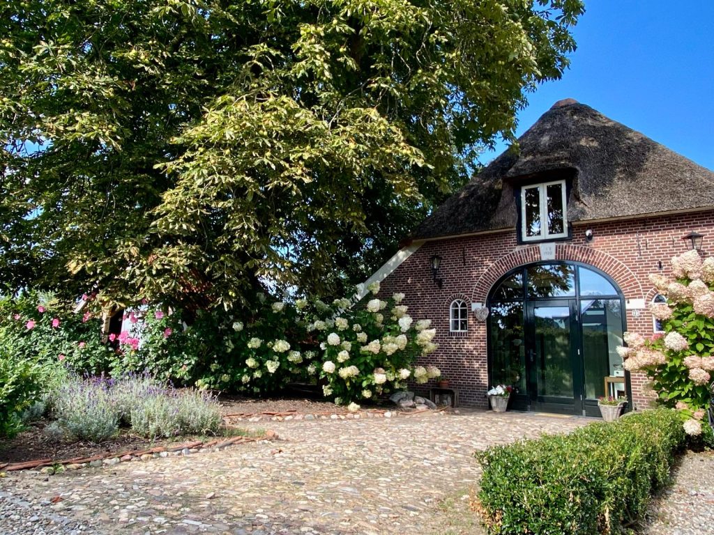 De voorgevel met lavendel en rozen